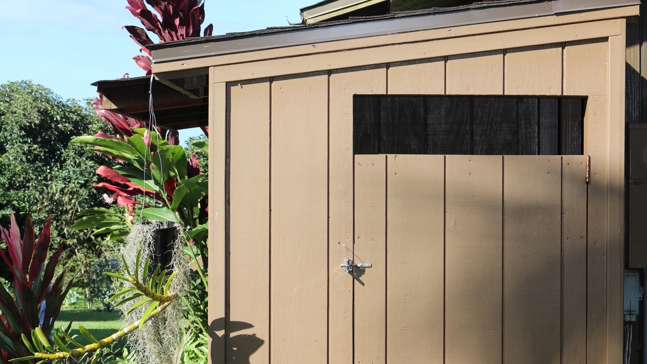Photo of Outdoor in Hana