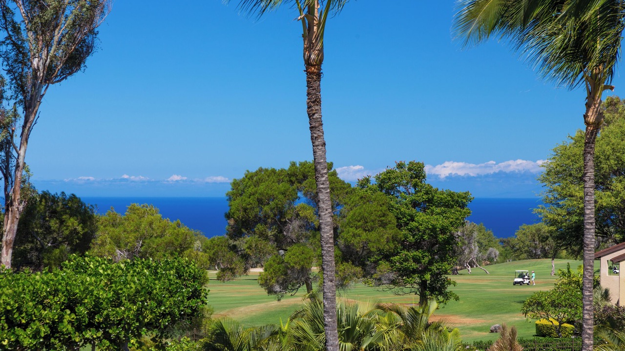 Photo of Others in Waikoloa