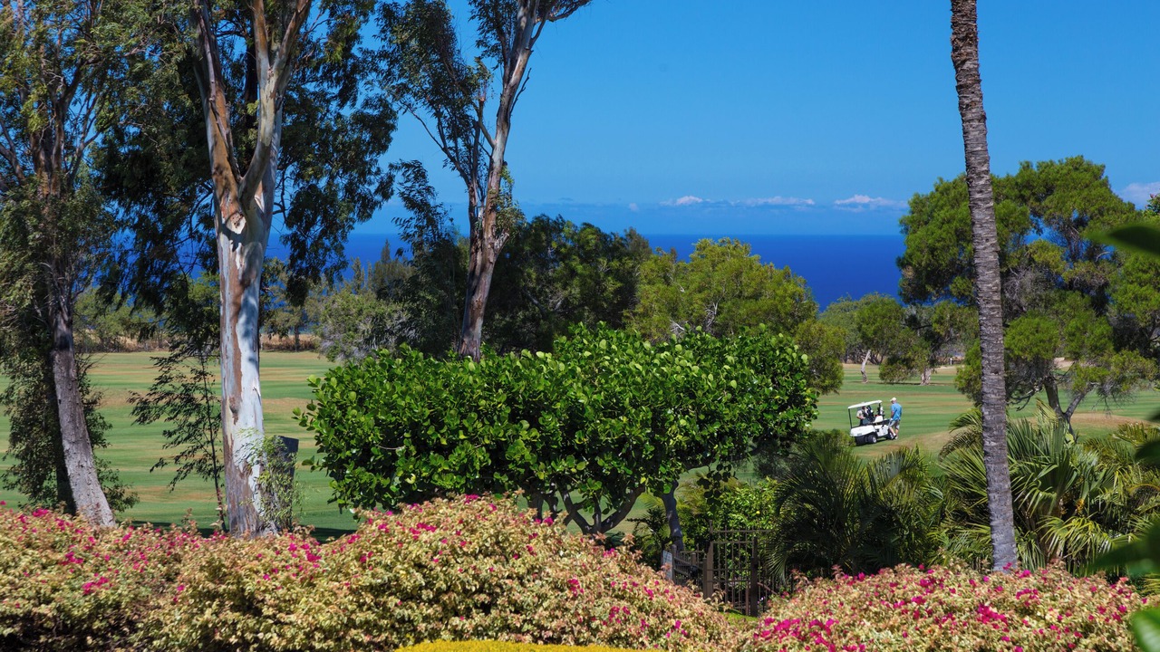 Photo of Others in Waikoloa