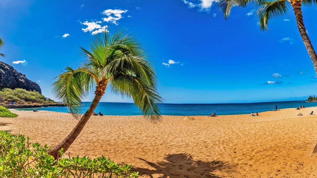 Photo of Others in Makaha