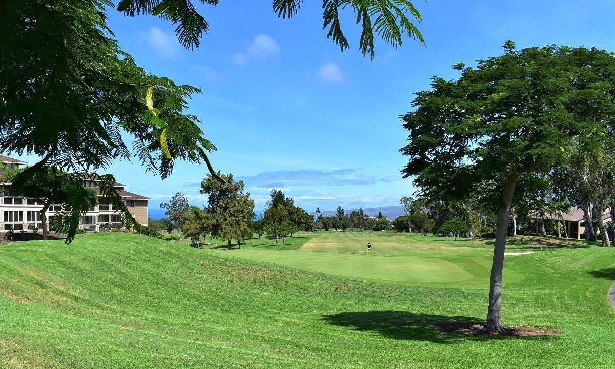 Photo of Others in Waikoloa