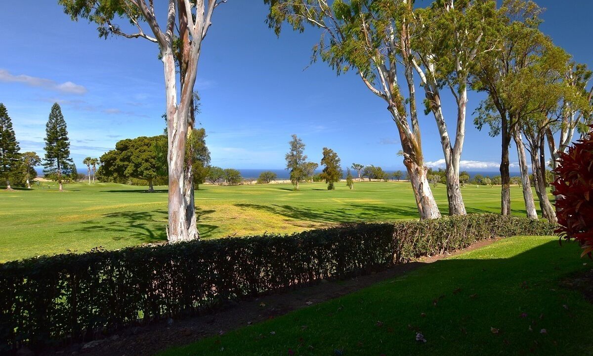 Photo of Others in Waikoloa