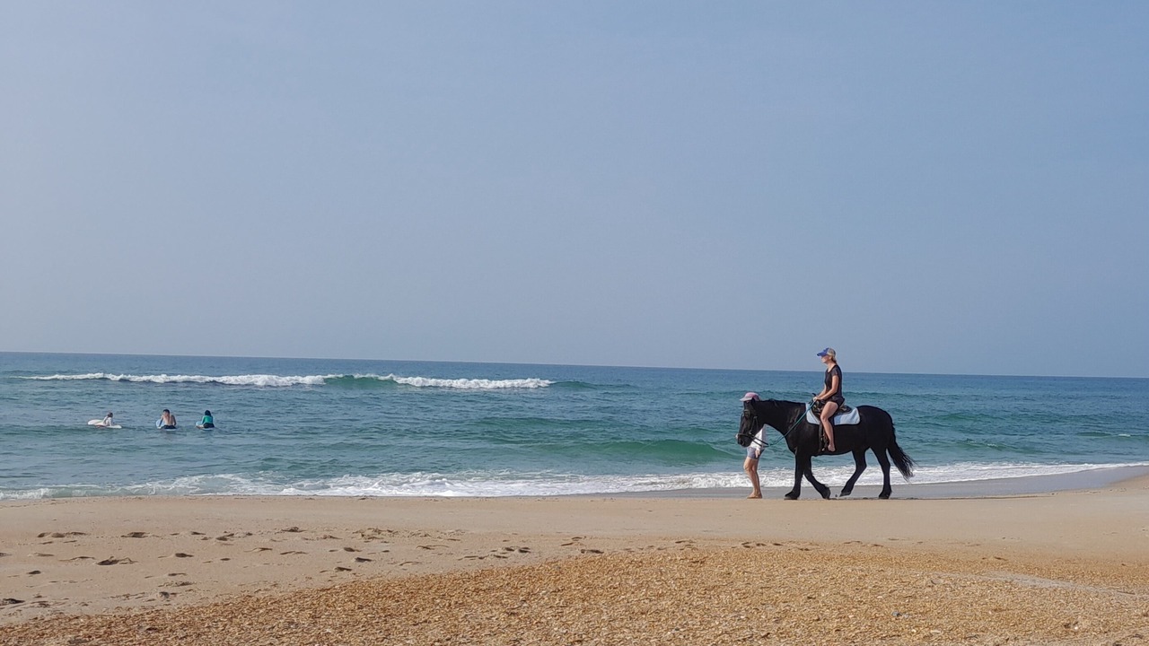 Photo of Others in Hatteras