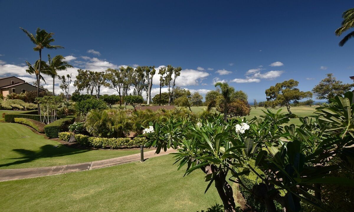 Photo of Others in Waikoloa