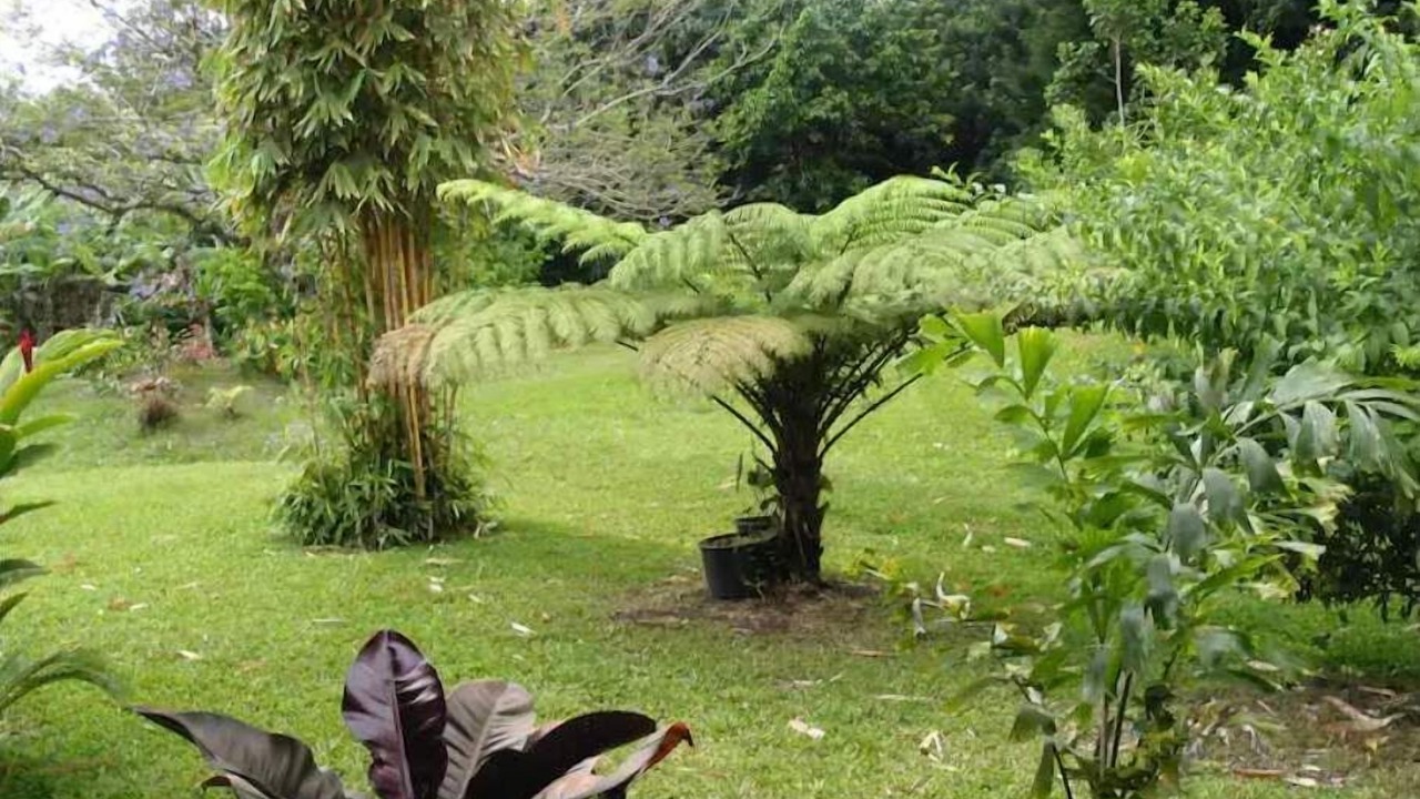 Photo of Outdoor in Hana