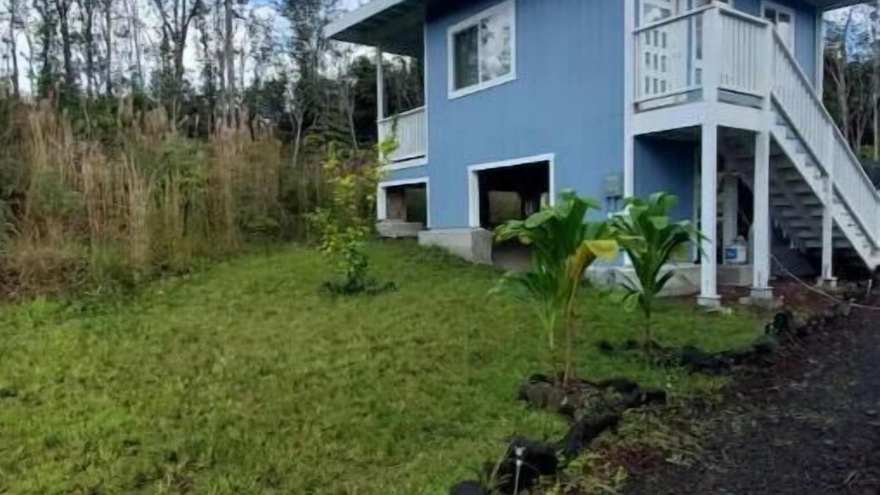 Photo of Outdoor in Fern Forest