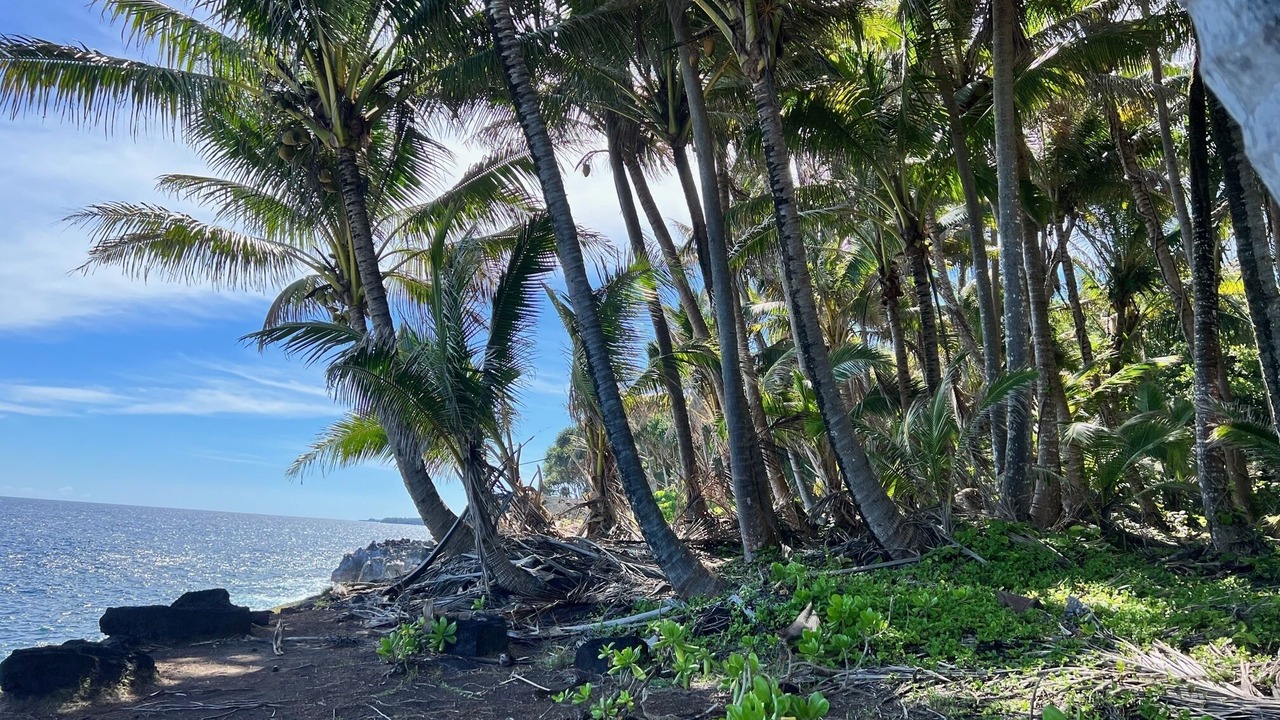 Photo of Others in Kehena Beach Estates