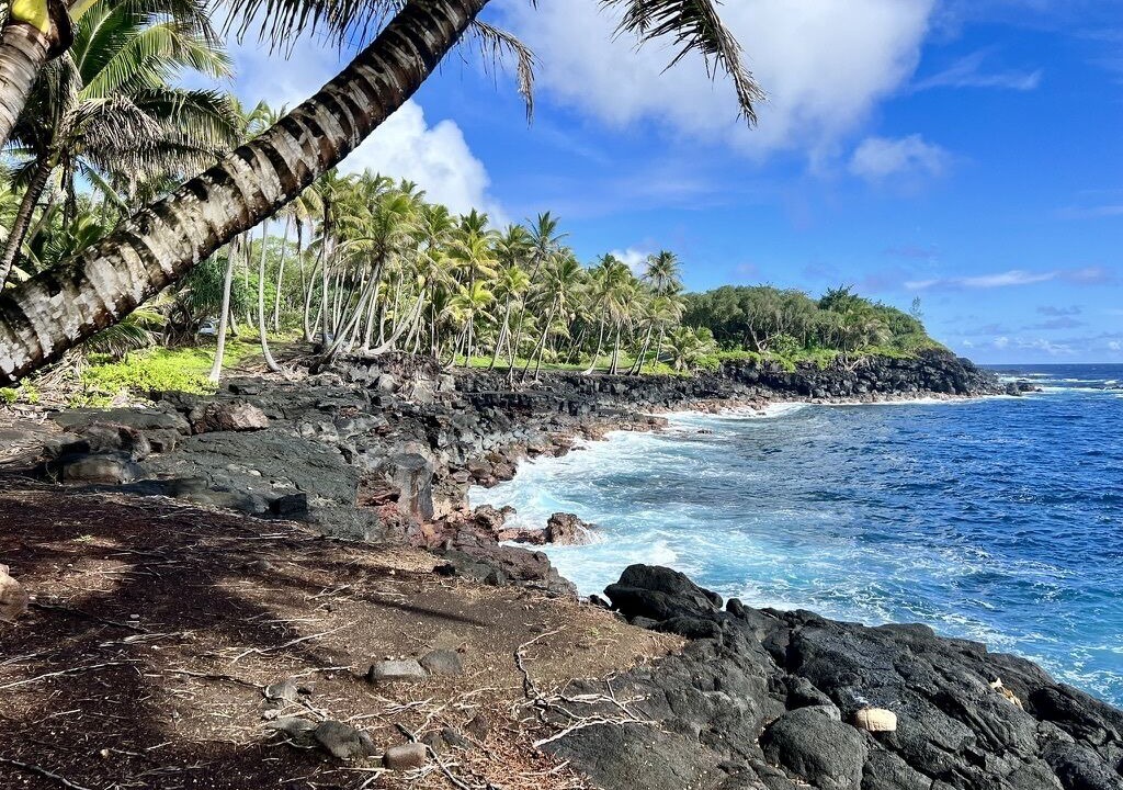 Photo of Others in Kehena Beach Estates