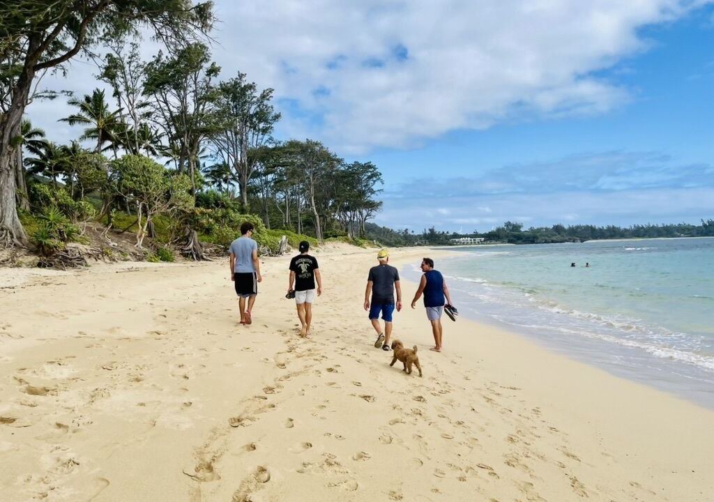 Photo of Others in North Shore