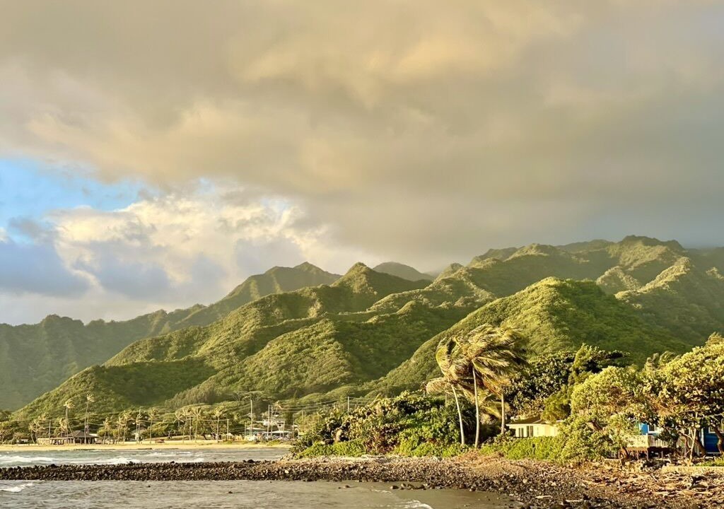 Photo of Others in North Shore
