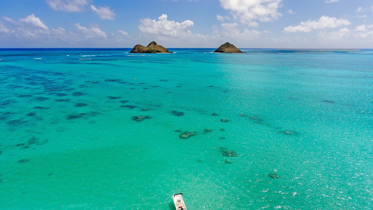 Photo of Others in Kailua