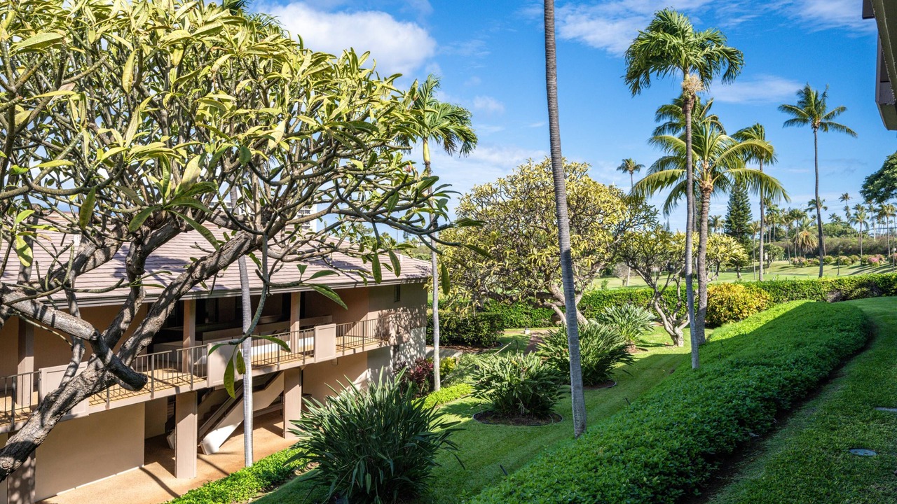 Photo of Outdoor in Kaanapali
