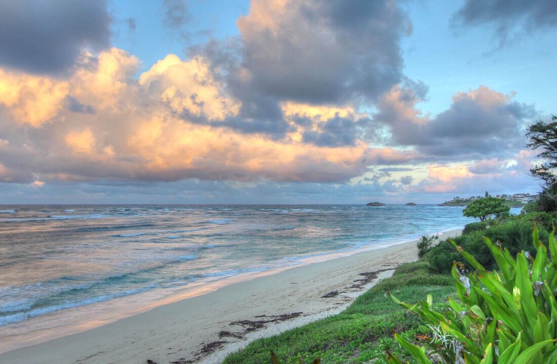 Photo of Others in Laie