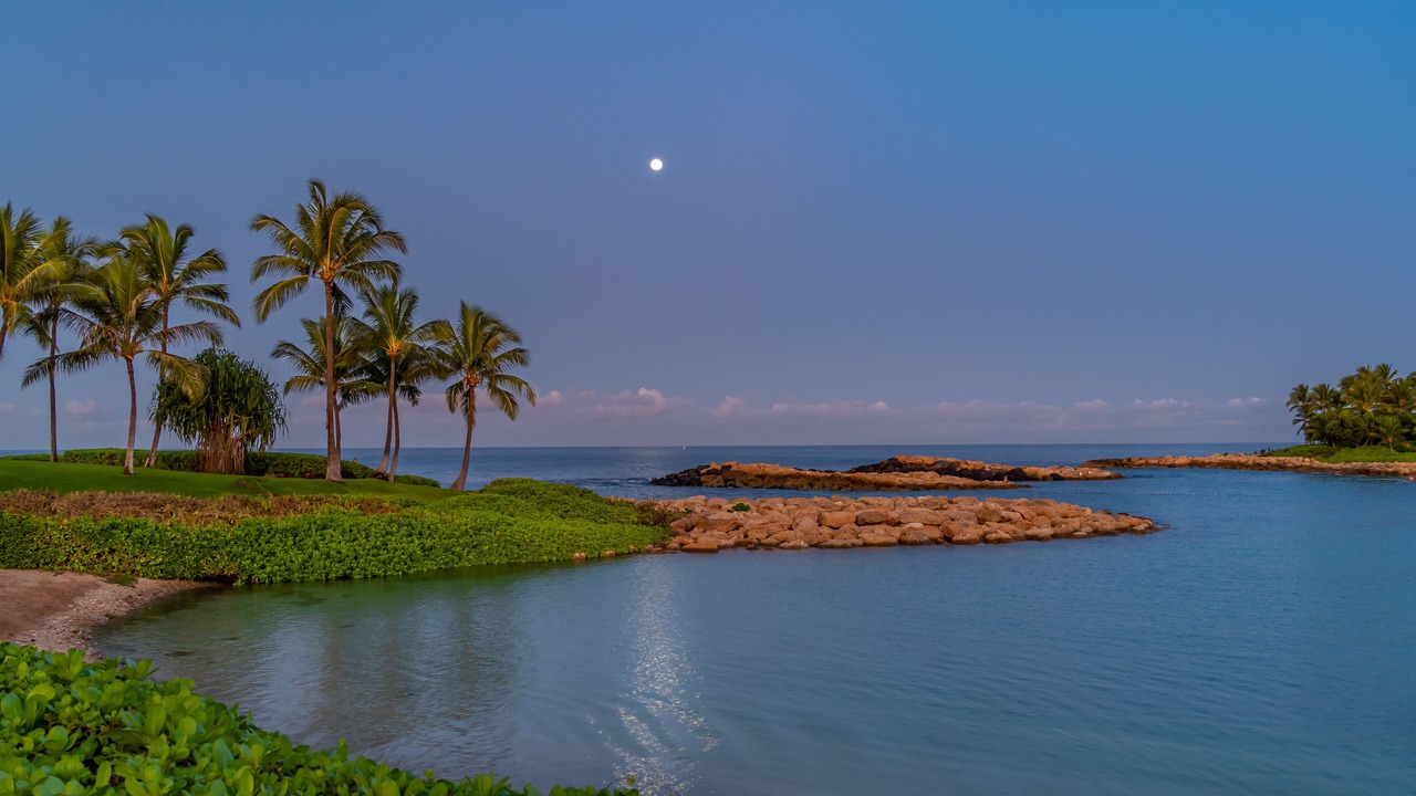 Photo of Others in Ko Olina