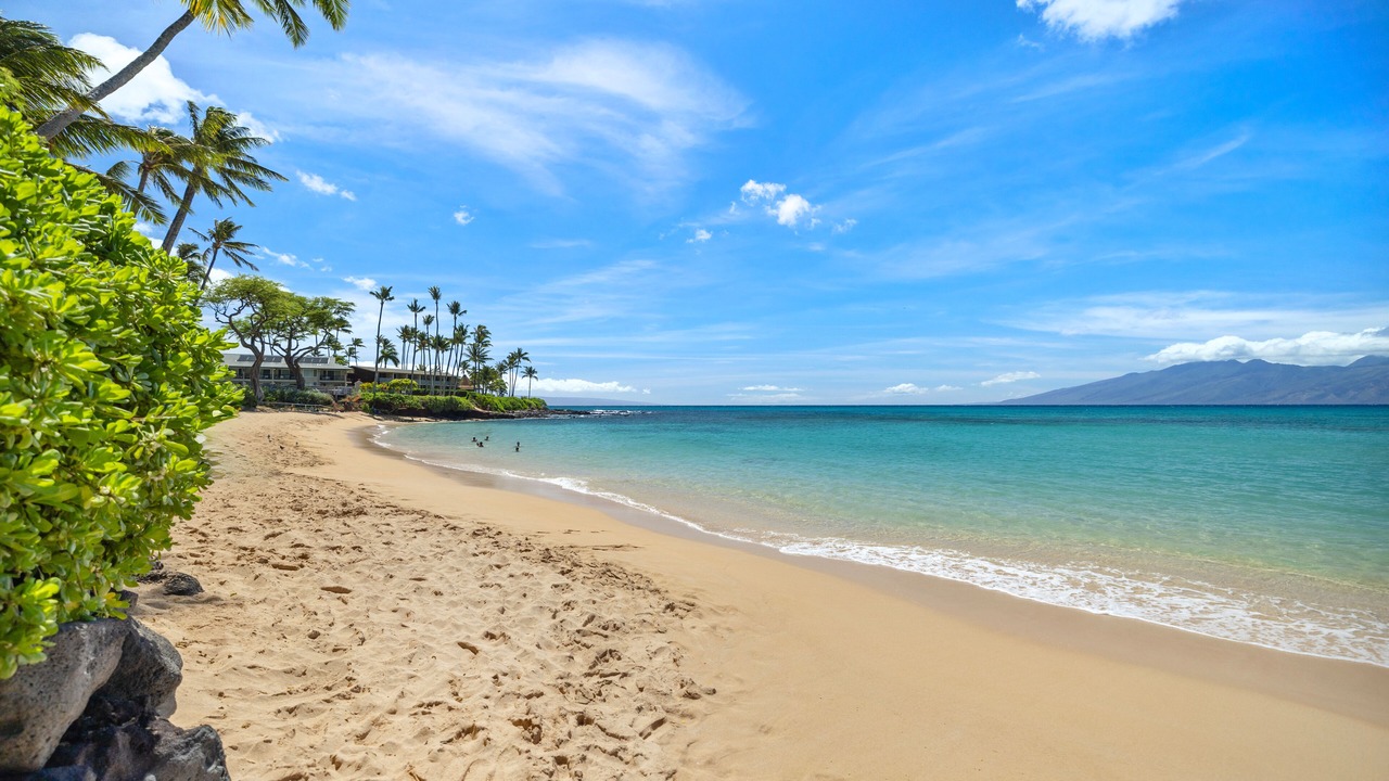 Photo of Others in Napili