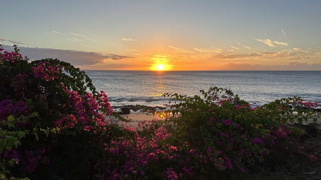 Photo of Outdoor in Maunaloa