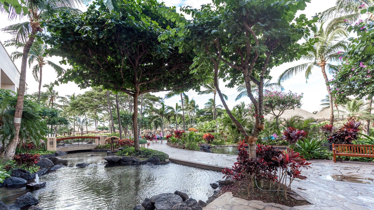 Photo of Outdoor in Ko Olina
