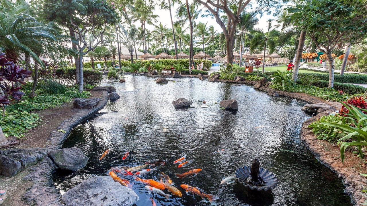 Photo of Outdoor in Ko Olina