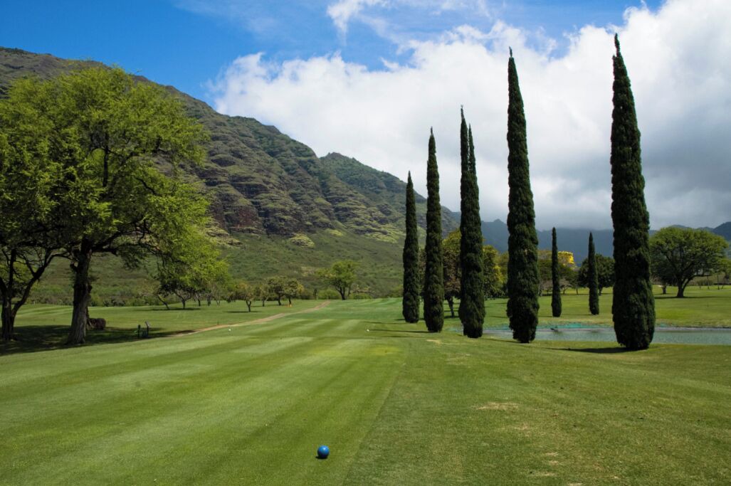 Photo of Others in Makaha
