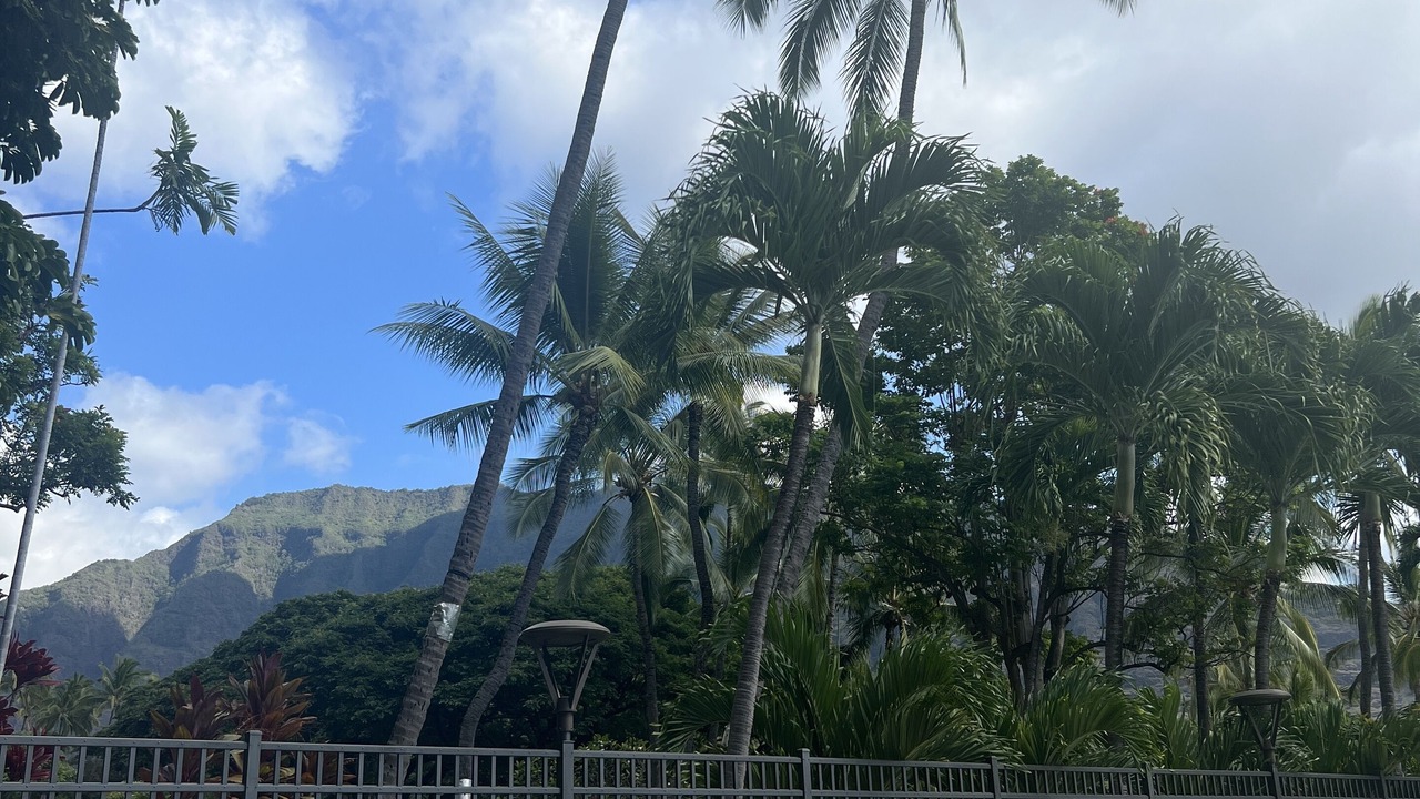 Photo of Outdoor in Makaha