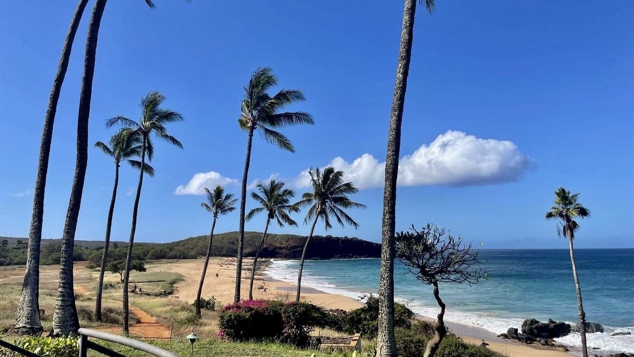 Photo of Others in Maunaloa