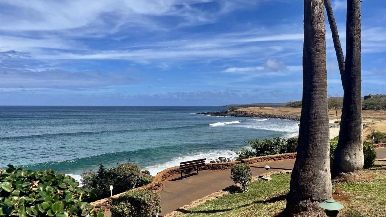 Photo of Others in Maunaloa