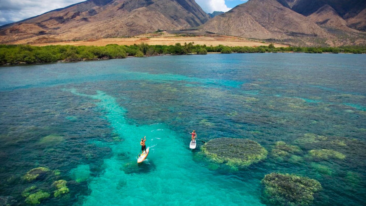 Photo of Outdoor in Paia