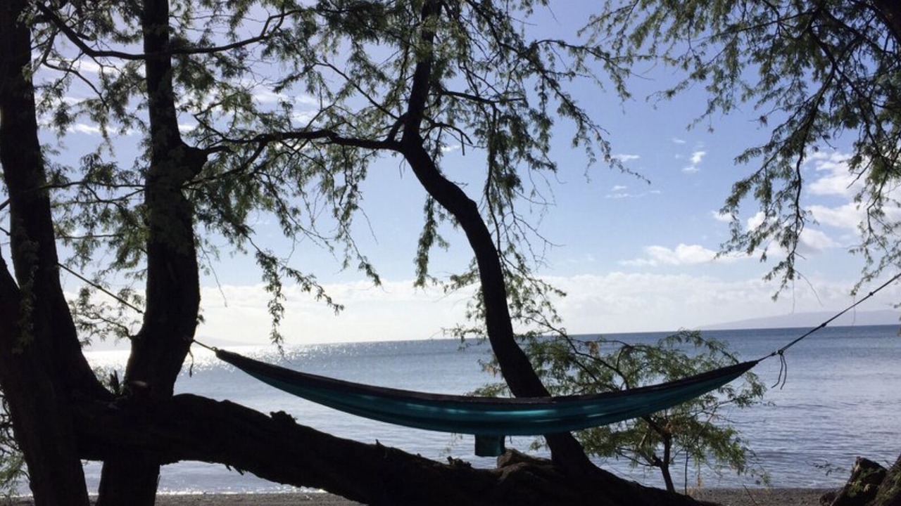 Photo of Others in Paia