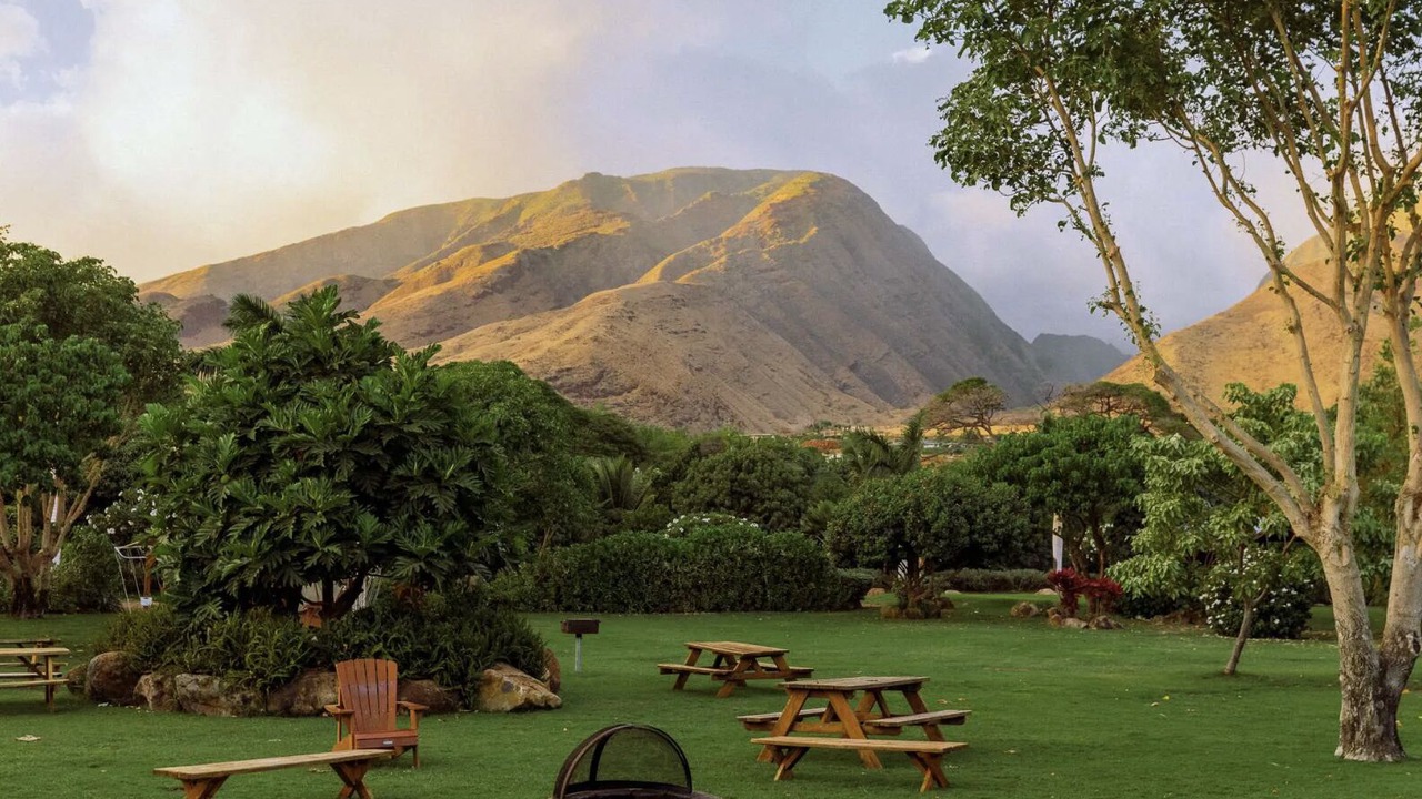Photo of Outdoor in Paia