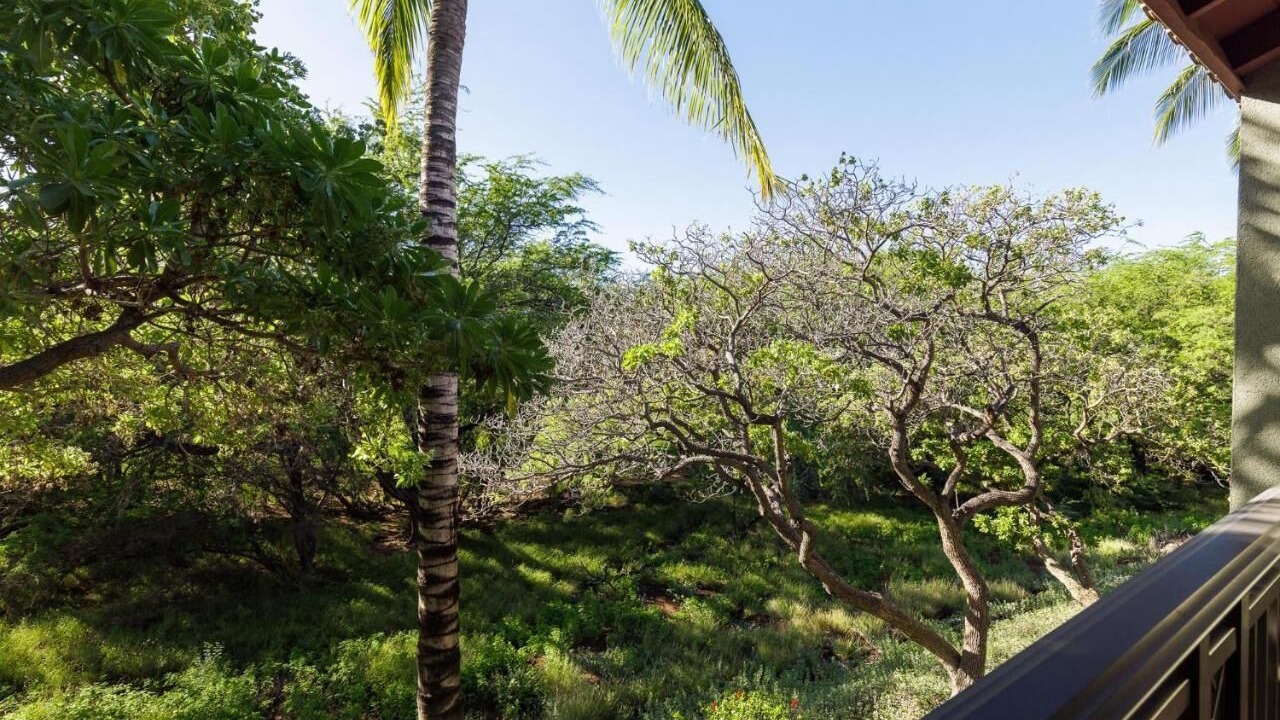 Photo of Outdoor in Kulalani