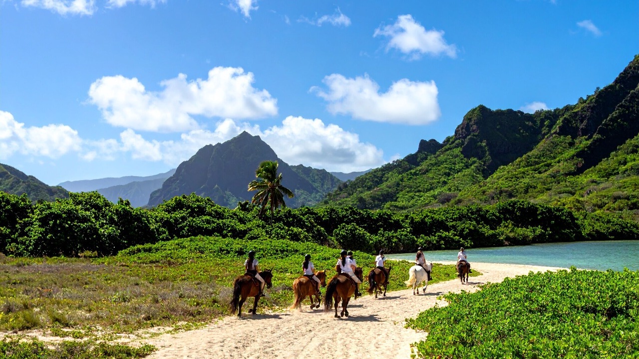 Photo of Others in Hauula