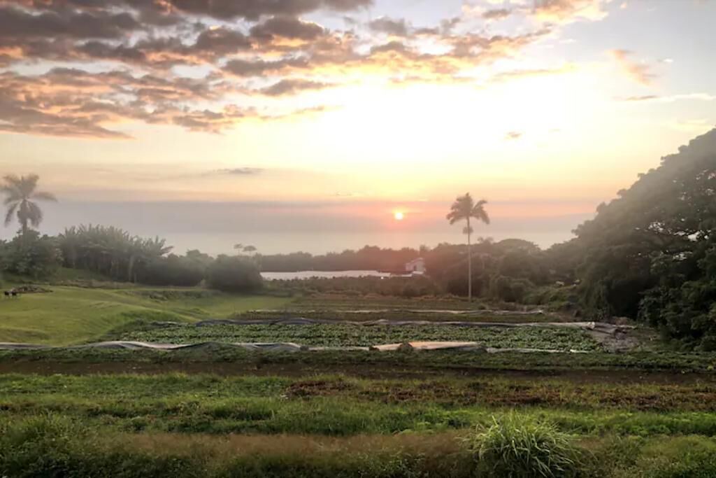 Photo of Others in Kealakekua