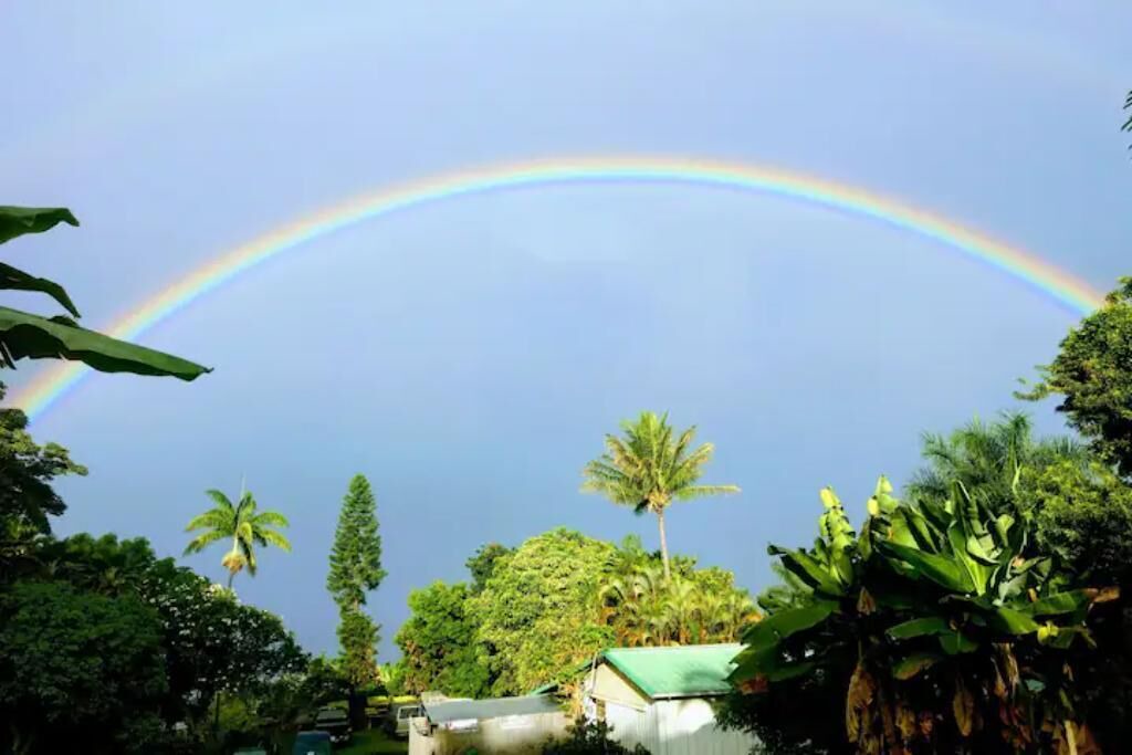 Photo of Others in Kealakekua