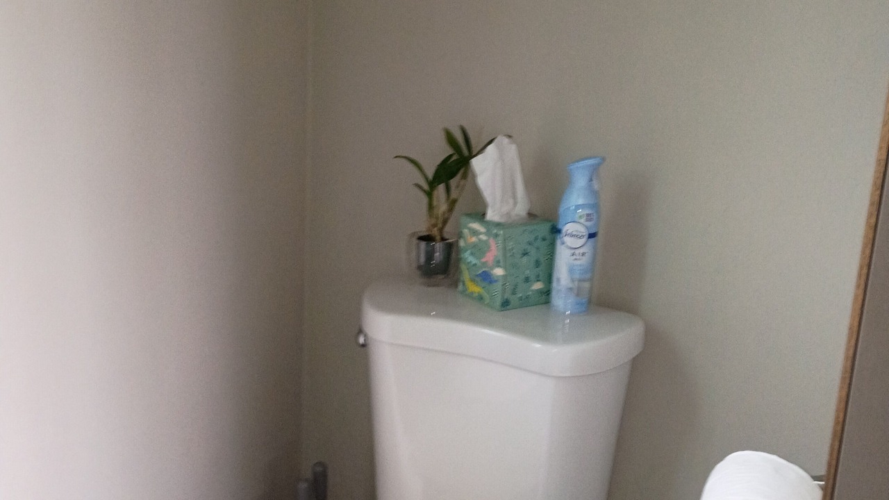 Photo of Bathroom in Fern Forest