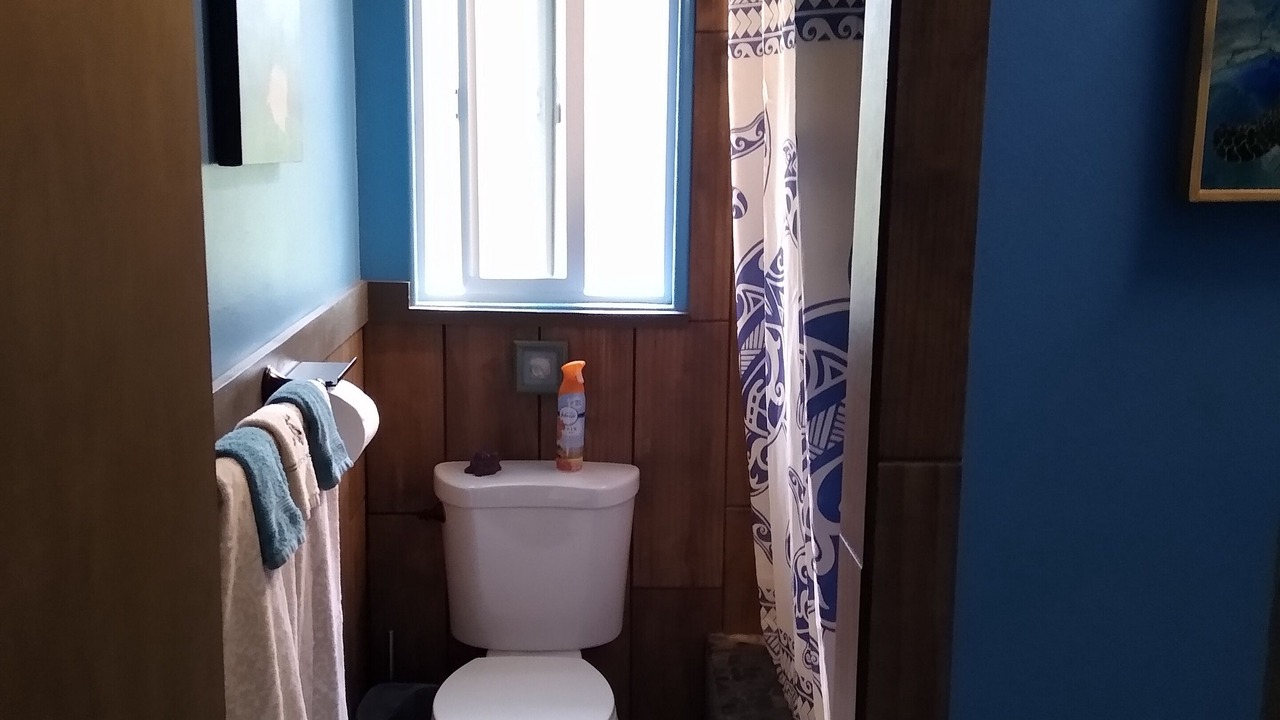 Photo of Bathroom in Fern Forest