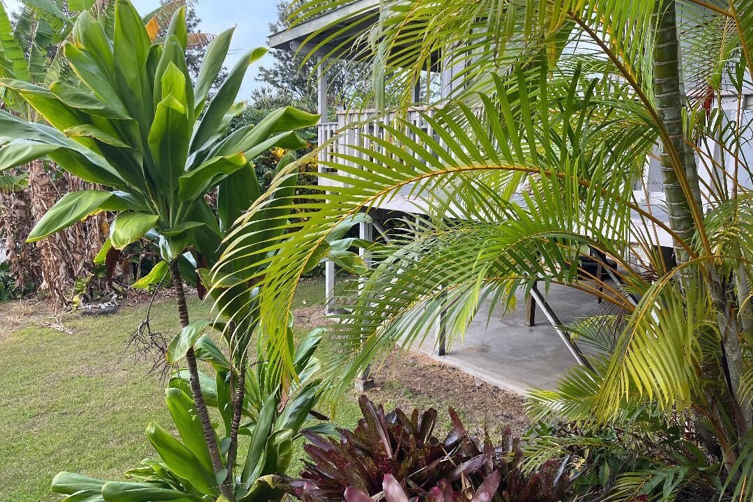 Photo of Outdoor in Kalaoa