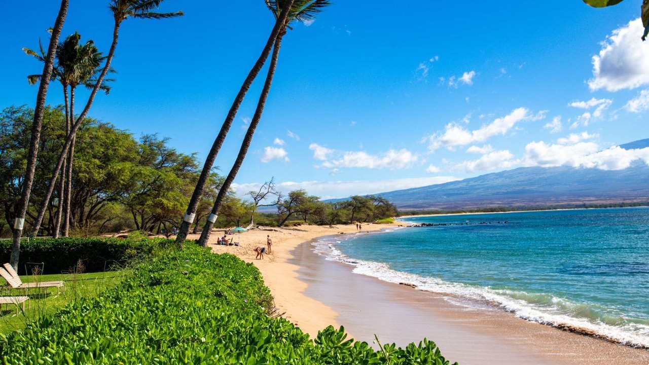 Photo of Others in Maalaea