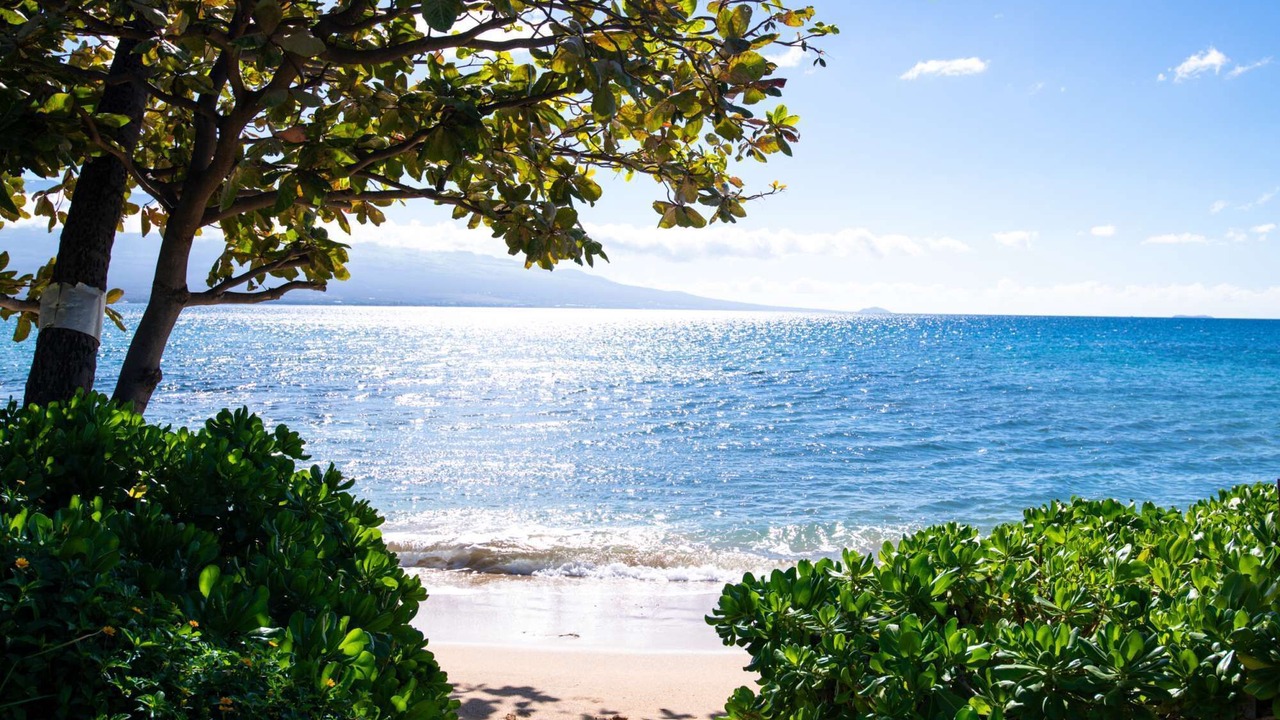 Photo of Others in Maalaea