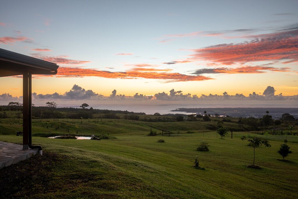 Photo of Others in Hilo