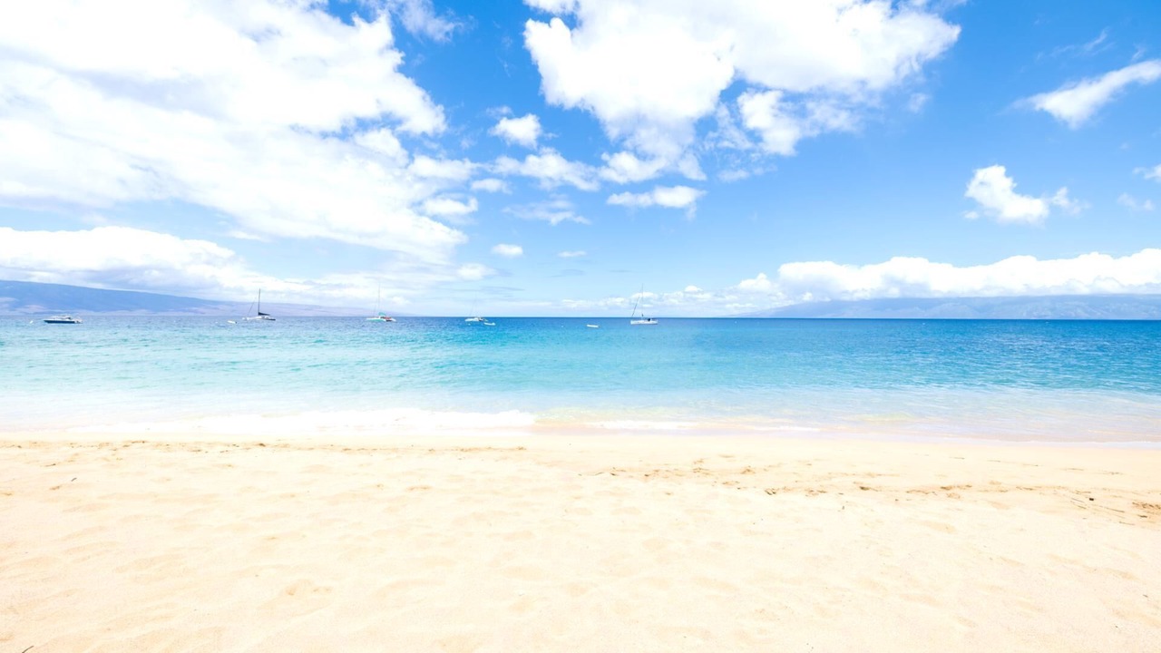 Photo of Others in Kaanapali