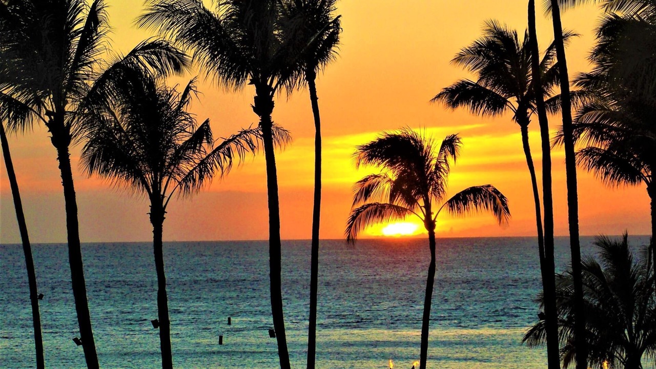 Photo of Outdoor in Kaanapali
