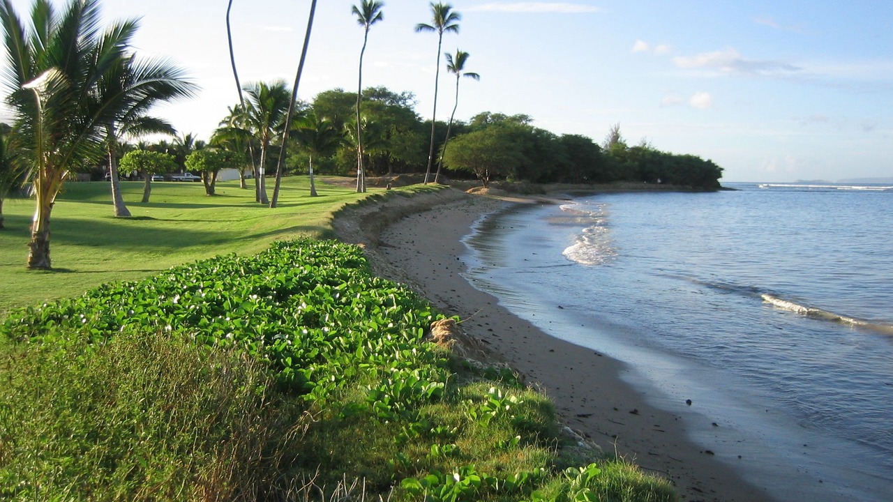 Photo of Others in Kihei