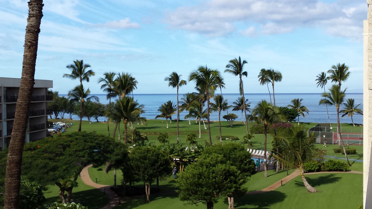 Photo of Patio Balcony in Kihei