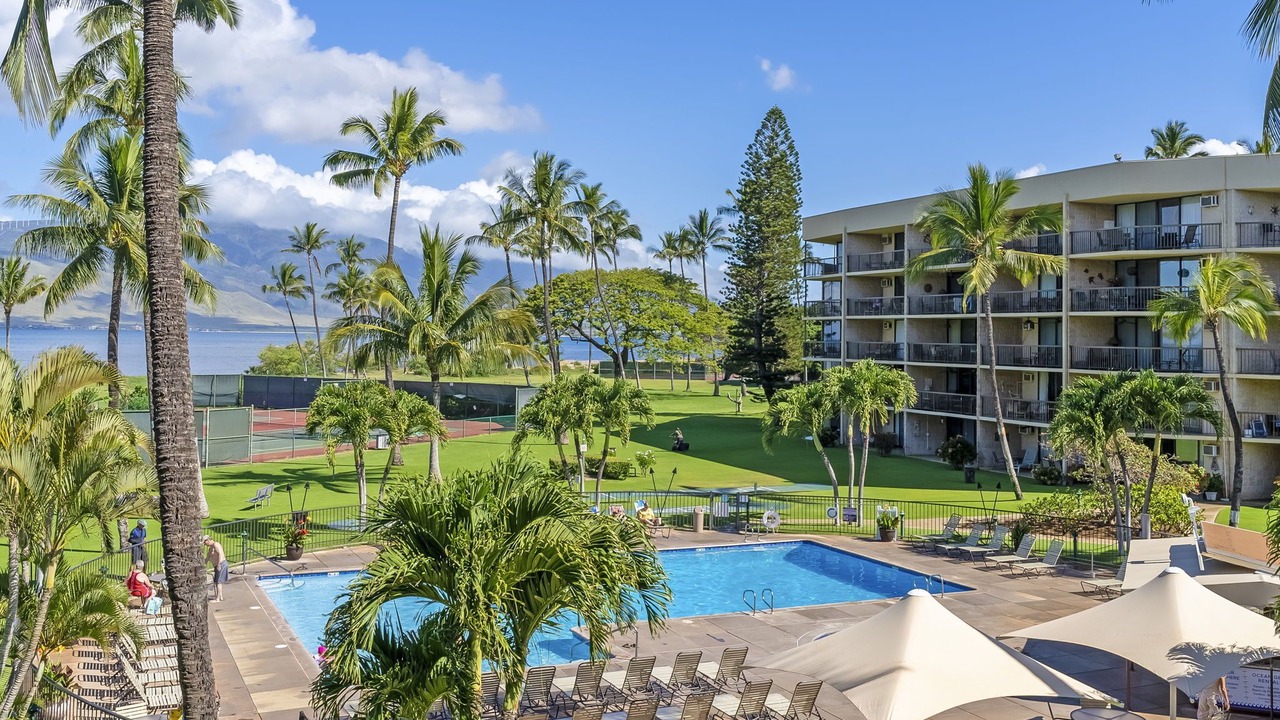 Photo of Outdoor in Kihei