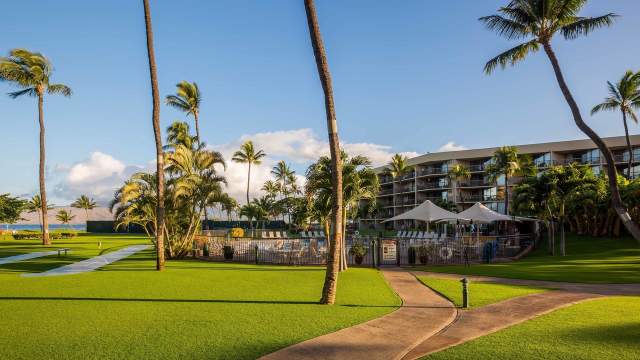 Photo of Outdoor in Kihei