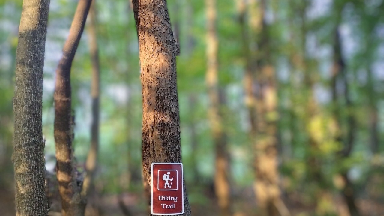 Photo of Outdoor in Keeling
