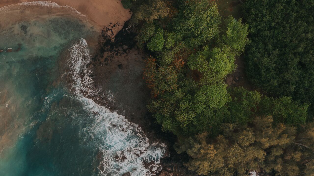 Photo of Outdoor in Kahului