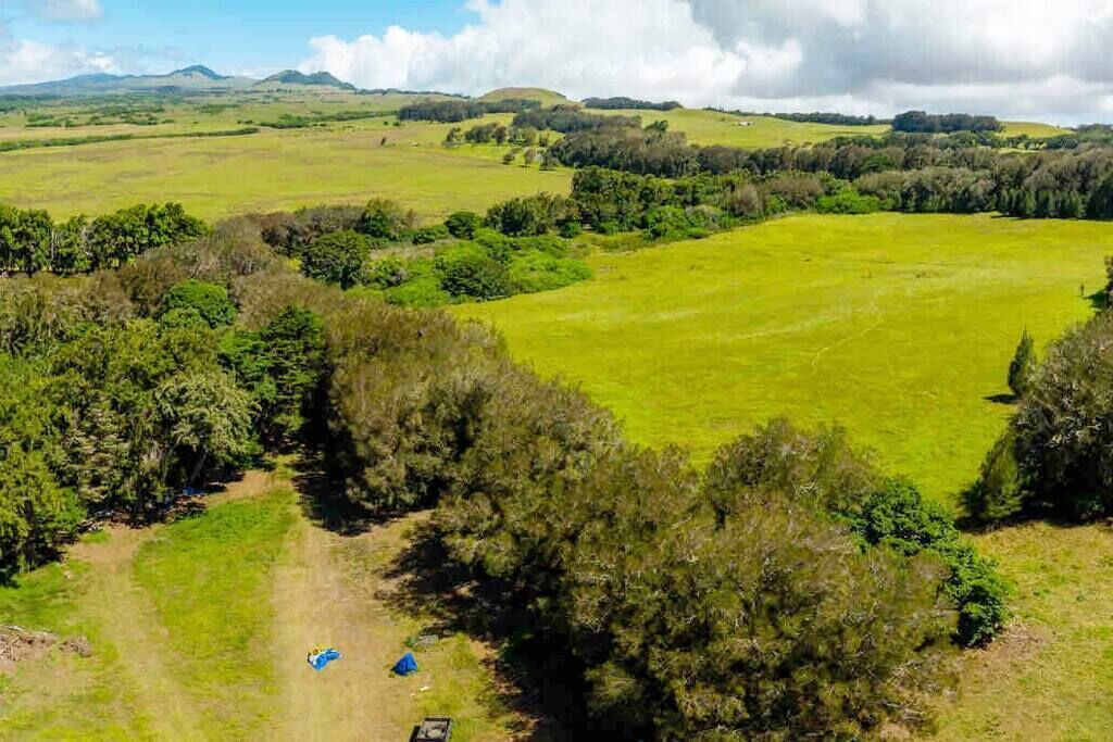 Photo of Others in Hawi