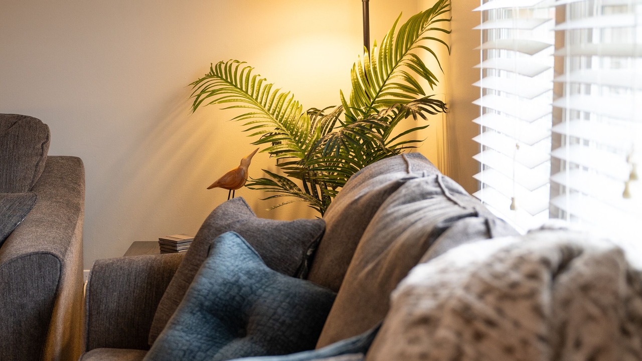Photo of Livingroom in Apex