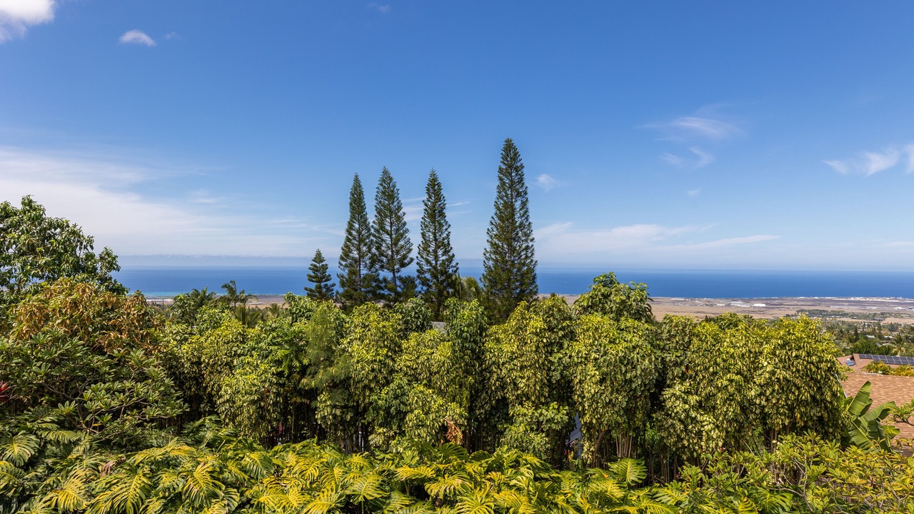 Photo of Others in Kona Palisades